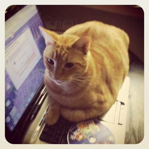 7 Quick Takes {Volume 51}