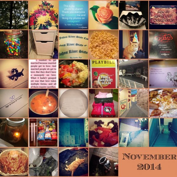 Photo 365 Project ~ November Results